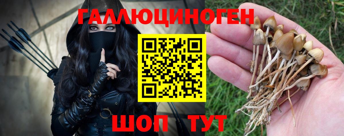 Галлюциногенные грибы Psilocybe  Вход с VPN  Реж  Псилоцибиновые грибы прущие грибы 
